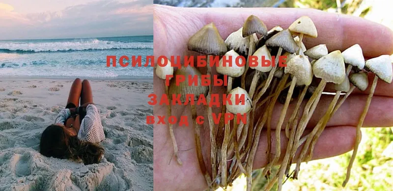 мега ССЫЛКА  Переславль-Залесский  Галлюциногенные грибы MAGIC MUSHROOMS 